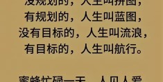 明确方向和目标的句子有哪些三年级(明确目标和方向的词语)