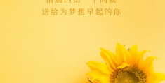 积极正能量励志早安语(早安积极正能量短句)