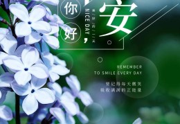 每日一句正能量早安图片大全(每日一语 正能量早安)