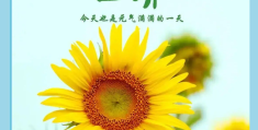 正能量语录一句话(正能量语录一段话)