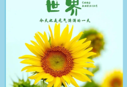 正能量语录一句话(正能量语录一段话)