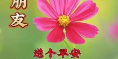 早上好短句10字问候发女朋友(早上好短句10字问候发女朋友的话)