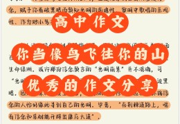 信念的正确解释是什么(信念的概念和含义)