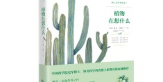 客观性角度(客观性例子)