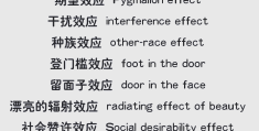 心理学英语词汇有哪些(心理学英语词汇有哪些类型)