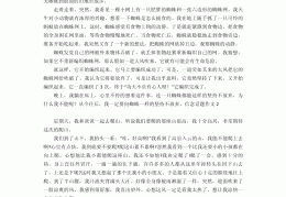 坚持信念作文议论文(坚持信念作文议论文700字)