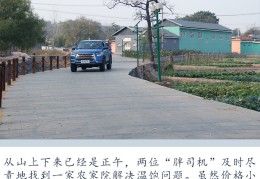 误入歧途下一句怎么接(误入歧途意思是什么秒懂百科)