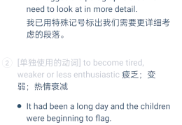 flag意思(flag啥子意思)