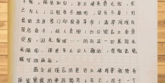 信念作文500字初中(信念优秀作文600字)