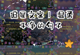 追星激励句子(追星励志语句)