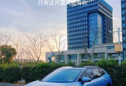 立个flag是什么意思知乎(立个flag是什么意思知乎文章)