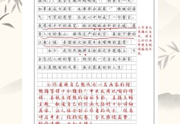 青少年应该树立什么样的理想作文(青少年应该树立理想吗)
