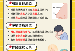 五官的标准答案(五官最准确答案)