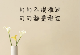 句句不提失落却句句失落(句句不提失落却句句失落发朋友圈幽默搞笑句子)