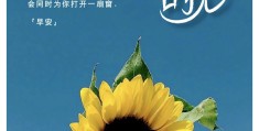 励志语录朋友圈文案简短(励志文案朋友圈高质量句子)