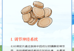 精神衰弱症怎么调理饮食(精神衰弱症怎么办)