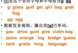 flag的音标是什么(flags音标)