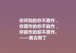 生命的哲学语录有哪些(关于生命哲学)