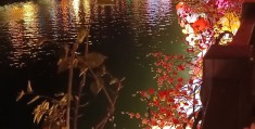 怎么修心养性,不那么浮躁了(怎样修心养性最好)