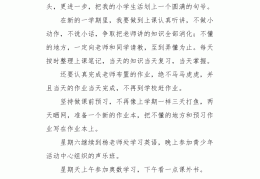 一个小目标怎么写300字左右(一个小目标图片)