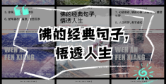 佛教一句话悟透人生的句子(佛教人生语录)