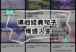 佛教一句话悟透人生的句子(佛教人生语录)