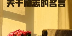 坚守目标的名言警句短句(坚守目标的古句)