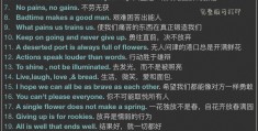 励志的英语短句子(一些励志的英语短句)