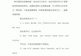 励志的英文短句带翻译(励志短句英语翻译)