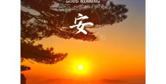 早安励志的句子精致短句(早安励志句子经典语句)