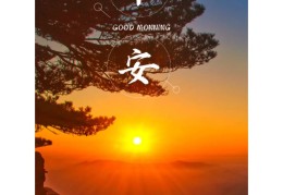 早安励志的句子精致短句(早安励志句子经典语句)