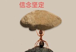 坚强的毅力,坚定的信念是什么(坚定的毅力,坚定的信念,必胜的信心)