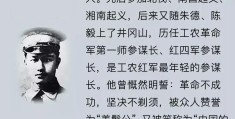 初心剧情结局解析大全(初心 结局)