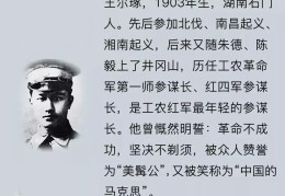 初心剧情结局解析大全(初心 结局)