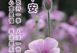暖心又会关心人的早安问候语缘祝福语(很暖心关心人的早安)