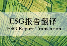 体现社会价值英语怎么说呢(社会价值英语翻译)