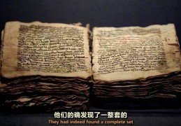 圣经讲信心的是那几卷书(圣经讲信心的经文)