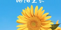 致前行者(致前行者徐梦桃)