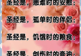 坚强的信仰是支撑梦的力量(坚强的信念的意思)