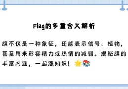 flag中文意思是什么?(flag是什么意思中文是什么意思啊)