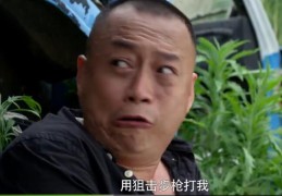 电视连续剧出击全集(电视连续剧出击全集播放)