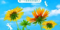 服装店早安语录适合发朋友圈早安的句子图片的简单介绍