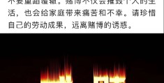 作为一名大学生,谈谈我们为什么要增强价值观自信(作为新时代青年,谈谈为什么要增强价值观自信?)