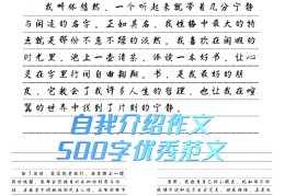 自我评价作文500字初一(初一自我评价作业1200字)