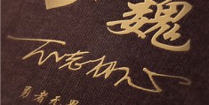 初心好看的符号(初心好看的符号有哪些)