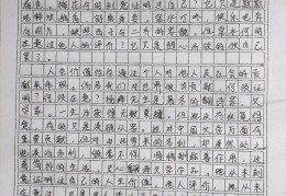 关于人生使命的作文(人生的使命感作文)