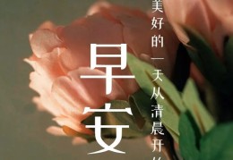 2020年早安励志(2021年早安励志)