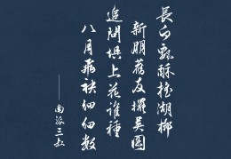 初心爱意小说结局解析(小说初心讲的什么)
