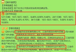 城投公司信托融资是什么意思(城投类信托)
