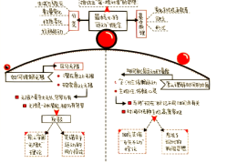 哲学的定义和概念是什么(哲学的基本概念是什么)
